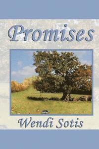 bokomslag Promises