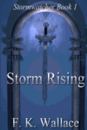 bokomslag Storm Rising: Stormwatcher Book I