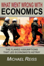 bokomslag What Went Wrong with Economics: The flawed assumptions that led economists astray