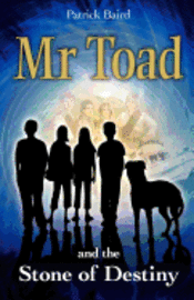 bokomslag Mr Toad and the Stone of Destiny