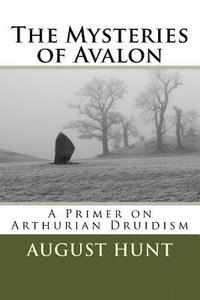 bokomslag The Mysteries of Avalon: A Primer on Arthurian Druidism