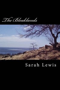 bokomslag Bleaklands