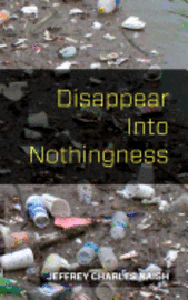 Disappear Into Nothingness 1