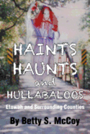 bokomslag Haints, Haunts and Hullabaloos: Etowah and Surrounding Counties