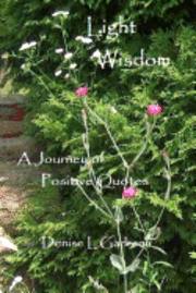 bokomslag Light Wisdom: A Journey of Positive Quotes