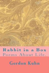 bokomslag Rabbit in a Box