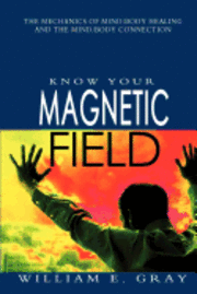 Know Your Magnetic Field 1