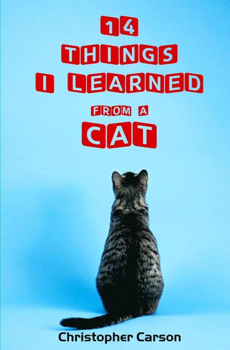Christopher Carson - 14 Things I Learned From A Cat, Häftad. Tillgänglighet: Lägg i varukorg