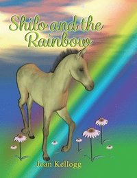 bokomslag Shilo and the Rainbow