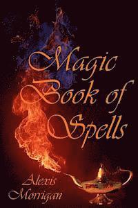 bokomslag Magic Book of Spells