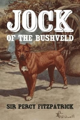 Jock of the Bushveld 1