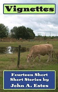 bokomslag Vignettes: Fourteen Short Short Stories