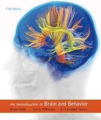 bokomslag An Introduction to Brain & Behavior