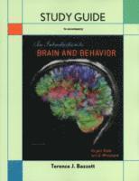 bokomslag Study Guide for Introduction to Brain and Behavior