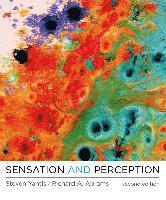 Sensation and Perception