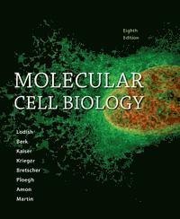 bokomslag Molecular Cell Biology