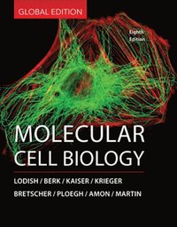 bokomslag Molecular Cell Biology