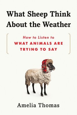 bokomslag What Sheep Think about the Weather: How to Listen to What Animals Are Trying to Say