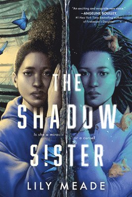 The Shadow Sister 1