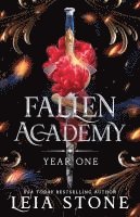 bokomslag Fallen Academy: Year One
