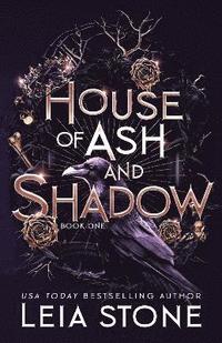 bokomslag House of Ash and Shadow