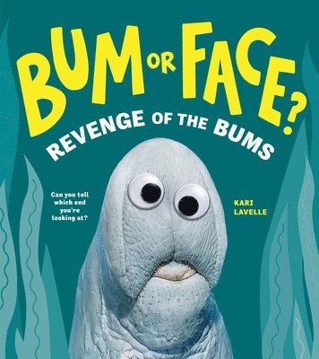Bum or Face? Volume 2 1
