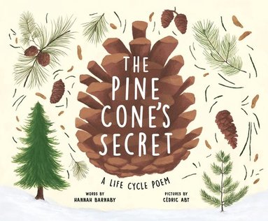 bokomslag Pine Cone's Secret