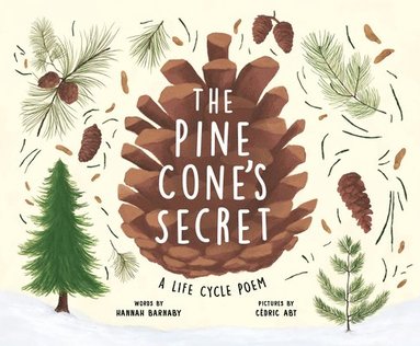 bokomslag The Pine Cone's Secret