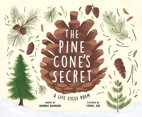 The Pine Cone's Secret: A Life Cycle Poem 1