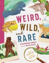 bokomslag Weird, Wild, and Rare: Extraordinary Animals of the United States