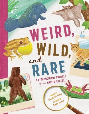bokomslag Weird, Wild, and Rare: Extraordinary Animals of the United States