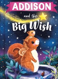 bokomslag Addison and the Big Wish