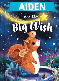 bokomslag Aiden and the Big Wish