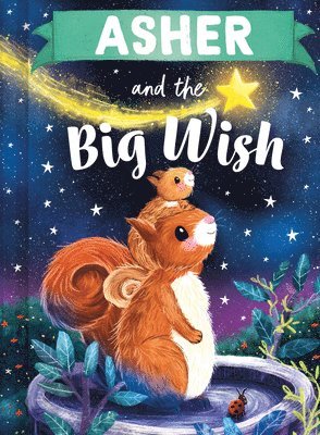 Asher and the Big Wish 1