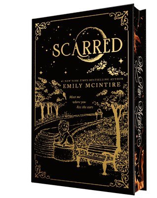 Scarred (Collector's Edition) 1