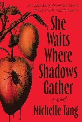 Michelle Tang - She Waits Where Shadows Gather, Häftad