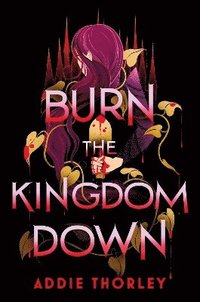 bokomslag Burn the Kingdom Down