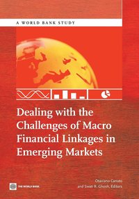 bokomslag Dealing with the challenges of macro financial linkages in emerging markets