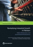 bokomslag Revitalizing Industrial Growth in Pakistan