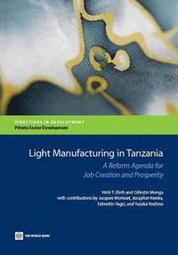 bokomslag Light manufacturing in Tanzania