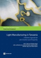 bokomslag Light Manufacturing in Tanzania
