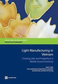 bokomslag Light manufacturing in Vietnam