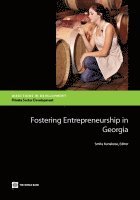 bokomslag Fostering Entrepreneurship in Georgia