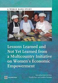 bokomslag Lessons Learned and Not Yet Learned from a Multicountry Initiative on Women's Economic Empowerment