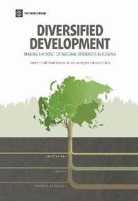 bokomslag Diversified development
