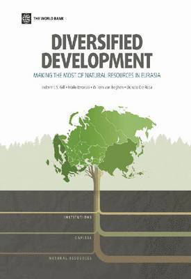 bokomslag Diversified development