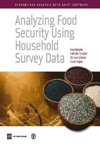 bokomslag Analyzing food security using household survey data