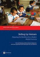 bokomslag Skilling Up Vietnam