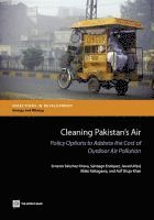 bokomslag Cleaning Pakistan's Air