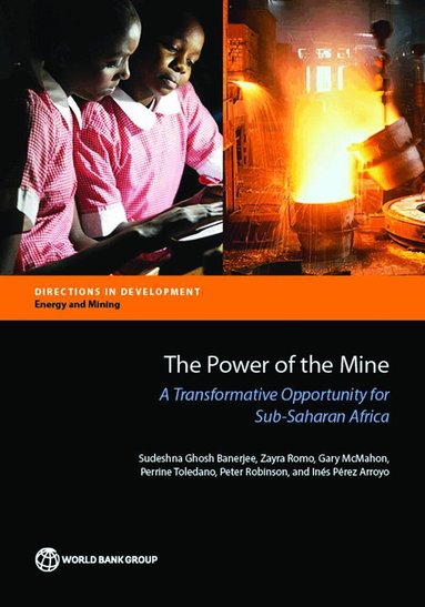 Sudeshna Ghosh Banerjee, Zayra Romo, Gary McMahon, Perrine Toledano, Peter Robinson - Power of the Mine, Häftad